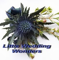 Little Wedding Wonders 1063599 Image 1